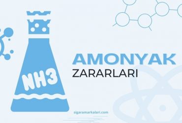Amonyak Zararları