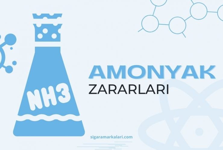 Amonyak Zararları