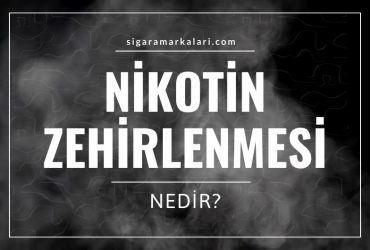 Nikotin Zehirlenmesi Nedir?