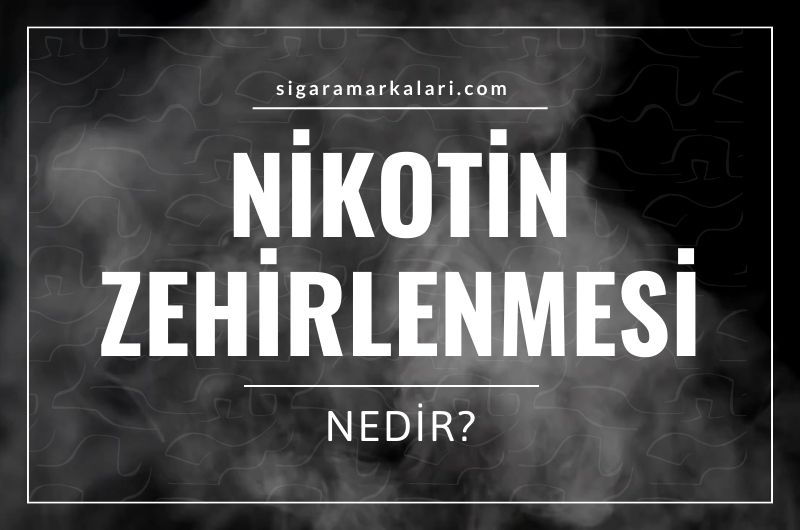 Nikotin Zehirlenmesi Nedir?