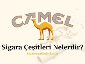 Camel Sigara Çeşitleri