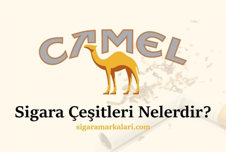 Camel Sigara Çeşitleri