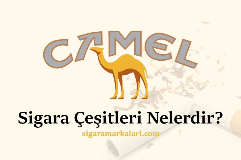Camel Sigara Çeşitleri