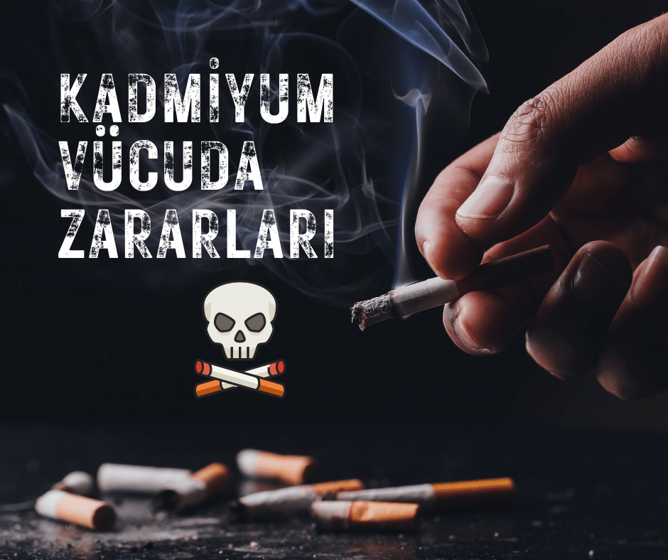 Kadmiyumun Zararları